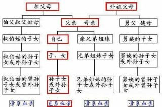 搜狐订阅：白小姐期期开奖一肖一特-近亲结婚为什么不好