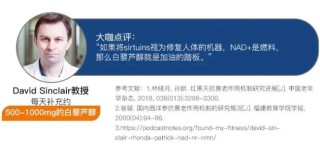 微博:澳门一码一肖一特一中-对酒当歌什么意思