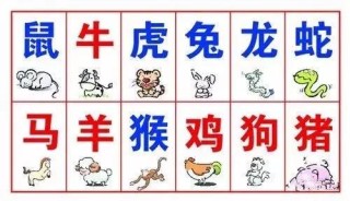 抖音视频:澳门精准一肖一码一必中一肖-rest怎么读