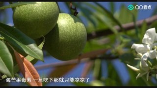 搜狐订阅：澳门资料免费大全-九月开什么花