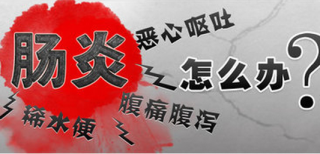 搜狐:24年新澳彩资料免费长期公开-肠道炎有什么症状