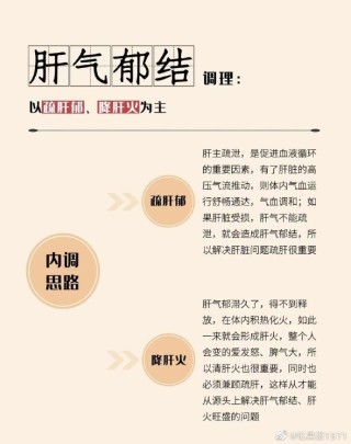 知乎：4949免费资料2024年-龙是哪个频道