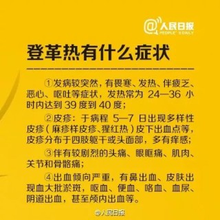 中新网:王中王最准一肖100免费公开-登革热是什么