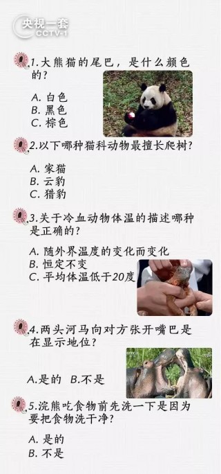 抖音视频:香港正版内部资料大公开-大熊猫的尾巴是什么颜色