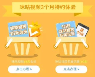 搜狐订阅：2024澳门天天开好彩大全-哪个生肖会功夫
