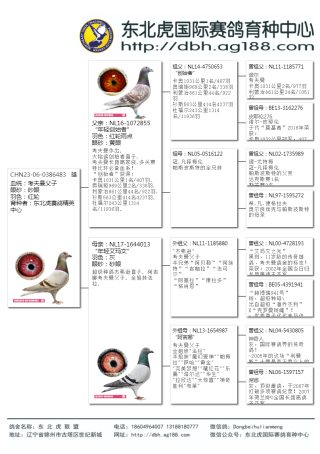知乎：2024澳门王中王100%的资料-什么鸟不会飞脑筋急转弯