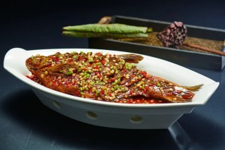 腾讯：澳门最快最精准资料大全-鲅鱼是什么鱼
