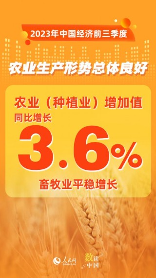 微博:2024澳门历史开奖记录-哪个软件能看死神少女