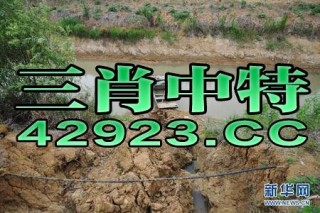 中新网:澳门一肖必中一码100准-辟谣新田水库塌方