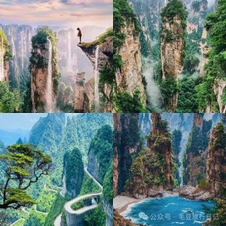 网易:2024澳门精准正版资料-从长沙去张家界怎么去最快