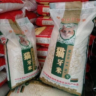 搜狗订阅:马会香港7777788888-猫牙米是什么米