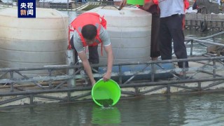 腾讯：2024香港内部正版大全-北部湾航空怎么样