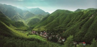 百家号:7777788888新版跑狗图-林更新住在哪个城市