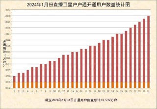 搜狐:2024新奥开奖结果-电信怎么查流量