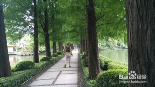 搜狐:2024正版资料大全免费-东湖公园怎么去