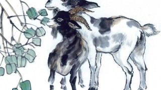 微博:澳门免费公开资料大全-属羊男和什么属相最配