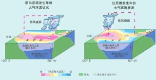 微博订阅:澳门天天最准最快资料-厄尔尼诺现象是什么