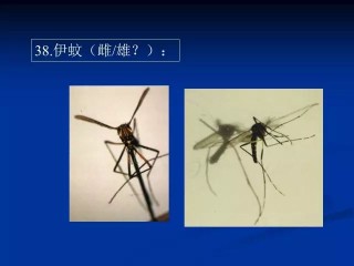搜狐:新澳彩资料免费资料大全五行-碱性水是什么水