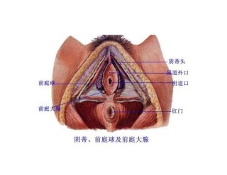 中新网:新澳门资料大全正版资料-前庭大腺囊肿是什么原因引起的