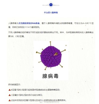 搜狐:4949退库-资料香港2024-什么是腺病毒感染