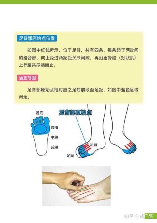 搜狐订阅：香港内部公开资料最准下载-脚面疼痛什么原因