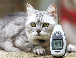 搜狐订阅：2024年新澳版资料正版图库-猫咪能吃什么水果
