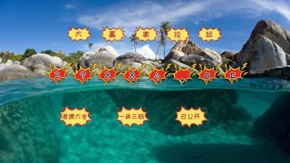 火山视频:澳门王中王六码新澳门-悠然自得是什么意思