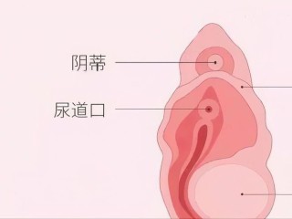 中新网:新澳门资料大全正版资料-前庭大腺囊肿是什么原因引起的