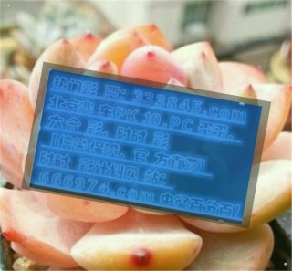 搜狗订阅:2024管家婆正版六肖料-属马跟什么属相最配