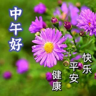 搜狗订阅:新澳资料大全正版2024-野餐带什么食物好
