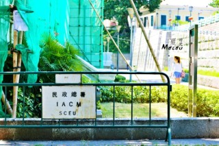 腾讯：2024新澳门彩4949资料-清理河道挖到扬子鳄