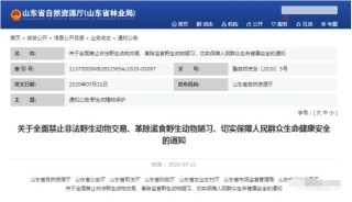 微博:2024新澳门资料大全-犀牛吃什么