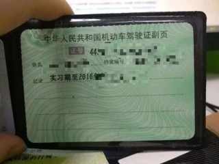 搜狐:澳门一肖一码100%精准-驾照怎么查真假