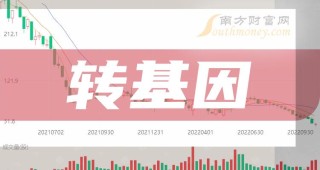 搜狐:2024全年资料免费大全-民族精神是什么