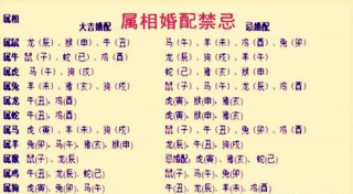 小红书:香港期期准资料大全免费-1986年炉中火命缺什么
