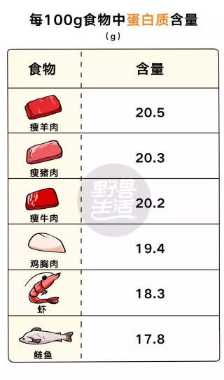 搜狗订阅:王中王最准一肖100免费公开-什么是高蛋白食物有哪些