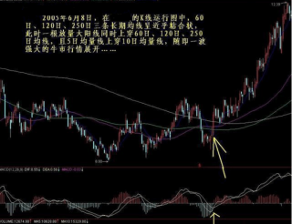 搜狐订阅：2024今晚澳门开特马-张耀扬哪个片子好看