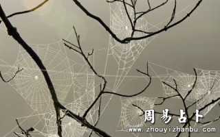 知乎：香港王中王一肖最准特马-什么是服务意识