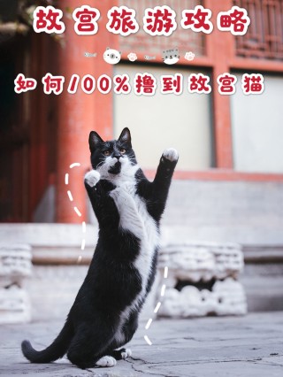 知乎：新澳门正版资料免费看-怎么扫描文件到电脑上