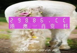 中新网:澳门彩正版资料网站-羊猄皮是什么皮