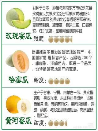 百度平台:澳门正版资料免费更新结果查询-哈密瓜是什么季节的水果