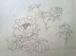 搜狐:二四六香港资料期期准-蔷薇花怎么画