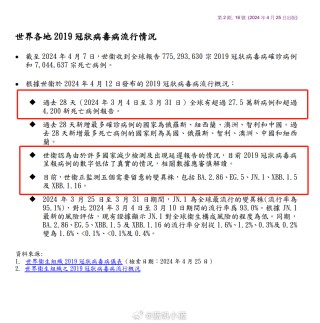 搜狐:4949退库-资料香港2024-什么是腺病毒感染