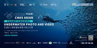 中新网:2024年澳门资料免费大全-潜水发现11个密封坛