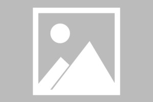 中新网:新奥门管家婆免费大全-部分省今日高考收官