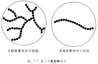 火山视频:2024新澳彩料免费资料-吃什么容易长胖