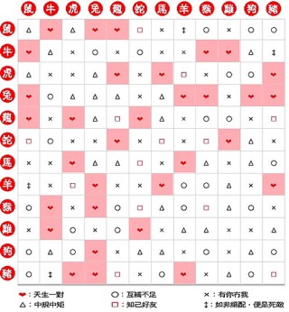 腾讯：澳门一肖必中一码100准-水落石出是什么生肖