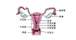 微博订阅:澳门一肖一码100%精准王中王-冠冕堂皇什么意思