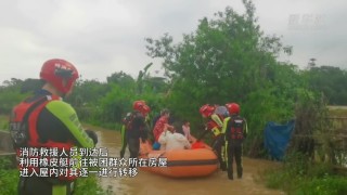 小红书:澳门一肖一码精准100王中王-北交大怎么样