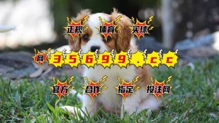 抖音视频:澳门一码中精准一码免费中特-丁香是什么东西